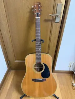 Greco W-160 12弦ギター グネコロゴ 1972年前後? Greco W-160 12弦ギター グネコロゴ 1972年前後? - メルカリ