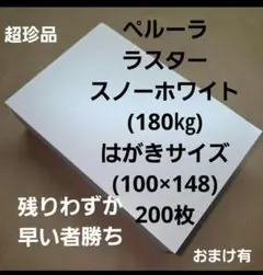 ペルーラ.ラスター.スノーホワイト180㎏ はがきサイズ200枚、パール調高級紙