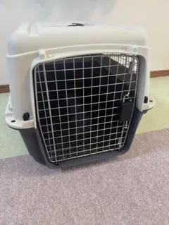 Item thumbnail for item 80800bd6-6033-4387-aa43-d145ef741178