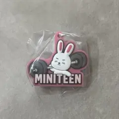 MINITEEN ぷっくりめじるしアクセサリー セブチ ガチャ