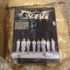 straykids Giant (初回生産限定盤B) CD+ZINE 開封済