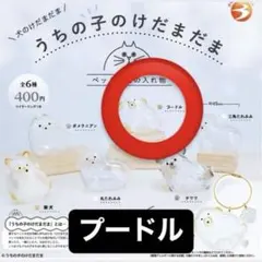 うちの子のけだまだま プードル ガチャガチャ カプセルトイ