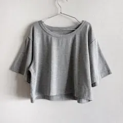 American Apparel クロップドTシャツ グレー 韓国 Y2K 短丈のサムネイル