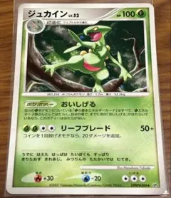 ポケモンカード ジュカイン LV.52
