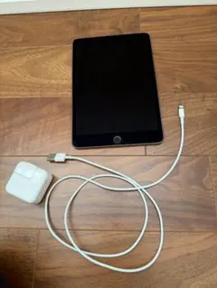 【充電器付】iPad mini 第5世代 Wi-Fi 64GB 中古品