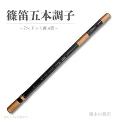 2026年最新】篠笛 5本調子の人気アイテム - メルカリ