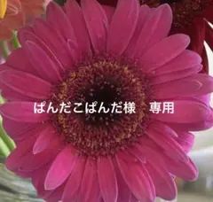 2025年最新】アルテマシャンプーの人気アイテム - メルカリ