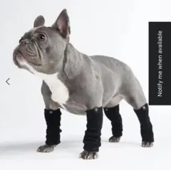 SPARK PAWS 犬用レッグウォーマー Mサイズ 4パック