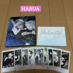 &TEAM Back to Life ハルア　HARUA ソロ、ミニCD