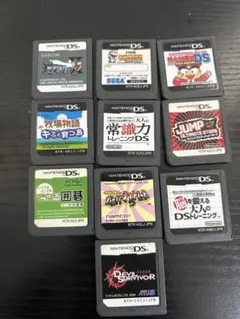 ニンテンドーDSソフト10本セット