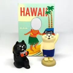 【バラ売り可】コンコンブル　顔ハメ看板ハワイアンビーチ　黒猫カメラマン　水泳猫