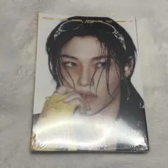 新品未開封 straykids スキズ karma アコーディオン フィリックス