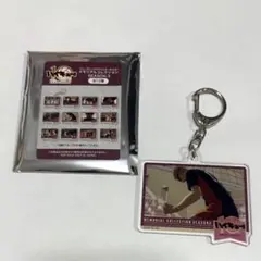 ハイキュー メモリアルコレクション 月島蛍 アクリルキーホルダー