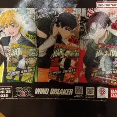 WINDBREAKER ウィンドブレイカー ショッパー 桜遥 蘇枋隼飛 楡井秋彦