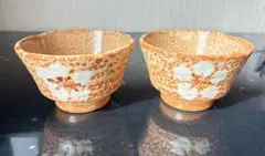 Item thumbnail for item 2aa933fc-09a8-4262-98e2-be6491a55e7f