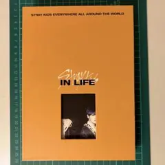Stray Kids IN 生 IN LIFE