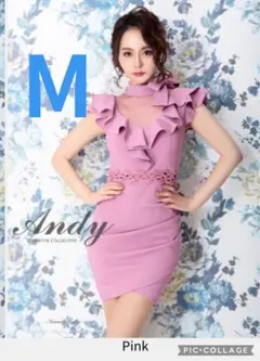 ◇Andy ミニドレス　M