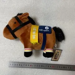 【良品☆ファン必見】サラブレッドコレクション OK リバティアイランド