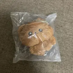 チェゴシム くまゴシム ぬいぐるみ