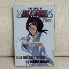 Bleach official animation book vibes