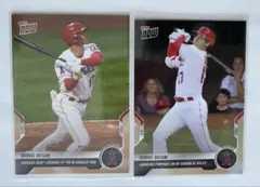 Item thumbnail for item 482ad4a7-d740-4345-8f75-eeb4d79c5a16