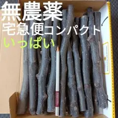 2025年最新】梨かじり木の人気アイテム - メルカリ
