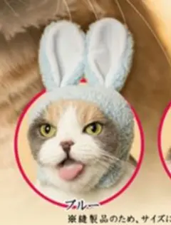 かわいいかわいいねこうさぎちゃん ブルー 水色 被り物 かぶりもの