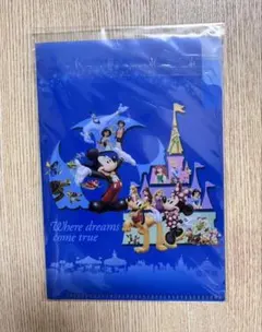 東京ディズニーリゾート クリアファイル
