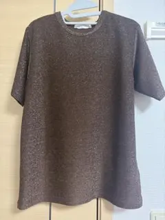 ラメ入り 半袖Tシャツ ブラウンのサムネイル