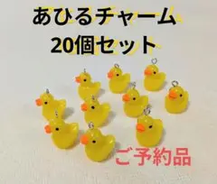 ※mimiko(ΦωΦ)※様ご予約あひるチャーム20個セット