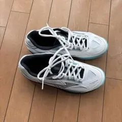 ミズノ テニスシューズ24.5