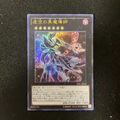 虚空の黒魔導師 管理番号d