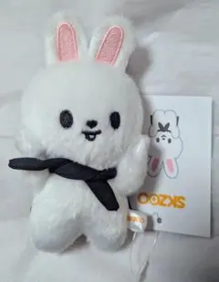 2025年最新】StrayKids skzoo マグネットキーリングの人気