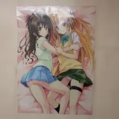 2026年最新】toloveる タペストリーの人気アイテム - メルカリ