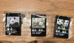 良浜】 電光看板風チャーム アドベンチャーワールド 店舗限定 先行販売