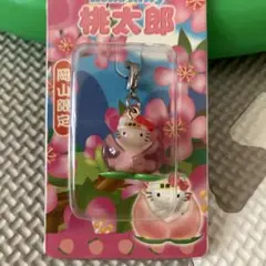 激レア【新品未使用】ご当地キティ 岡山限定　特産フルーツバージョン　桃 ご当地キティ キーホルダー 岡山限定 桃バージョン ストラップ