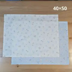 ランチョンマット2枚　40×50