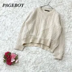 ページボーイ デザインニット ベージュ系 F チュール ショート丈 フェミニン