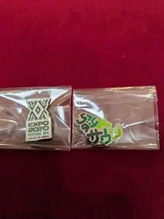 万博サウジアラビア館　ピンバッジセット　２個