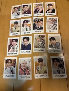 SEVENTEEN タレントカード セット 全16枚