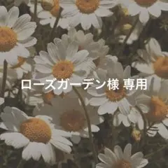ローズガーデン様専用ページ