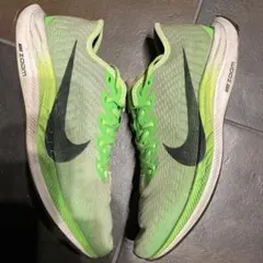NIKE ペガサスターボ2 グリーン　29cm