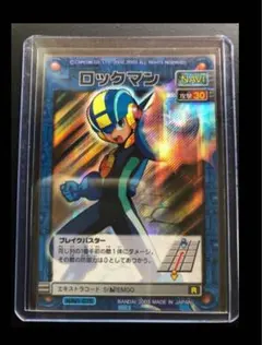 ロックマンエグゼ アクセスカードゲーム スターターセット　未開封カートン？ ロックマンエグゼ アクセスカードゲーム スターターセット 未開封