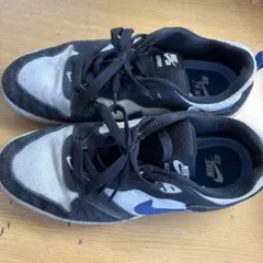 NIKE SB ALLEYOOP スニーカーのサムネイル