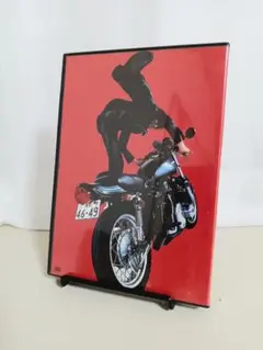 【読み込み確認済】ギターウルフ　レッドアイドル【DVD】
