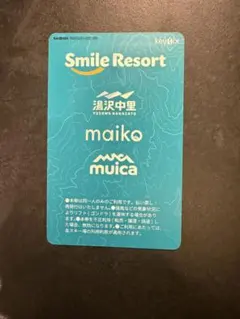 雪だるま様 リクエスト 2点 まとめ商品