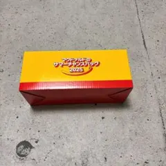 マクドナルド サマーチャンスバッグ 2025 福袋