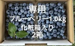 ブルーベリー1.0kg クール便　化粧箱入りのサムネイル