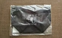 Item thumbnail for item a8d9a9d5-6e8f-4f79-abab-6f9aea62b0ab