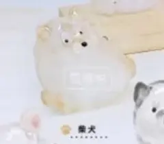 うちの子けだまだま　柴犬